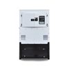 MITSUBISHI Engine Dynamo Generating Electricity Generator Manufacturer with Competitive Price